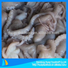 high quality frozen small octopus